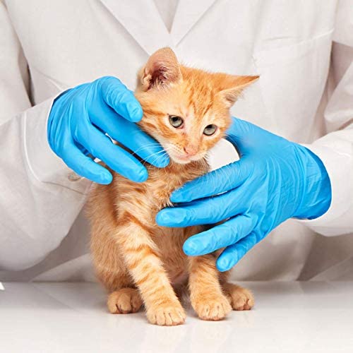 Blue Nitrile gloves for lab